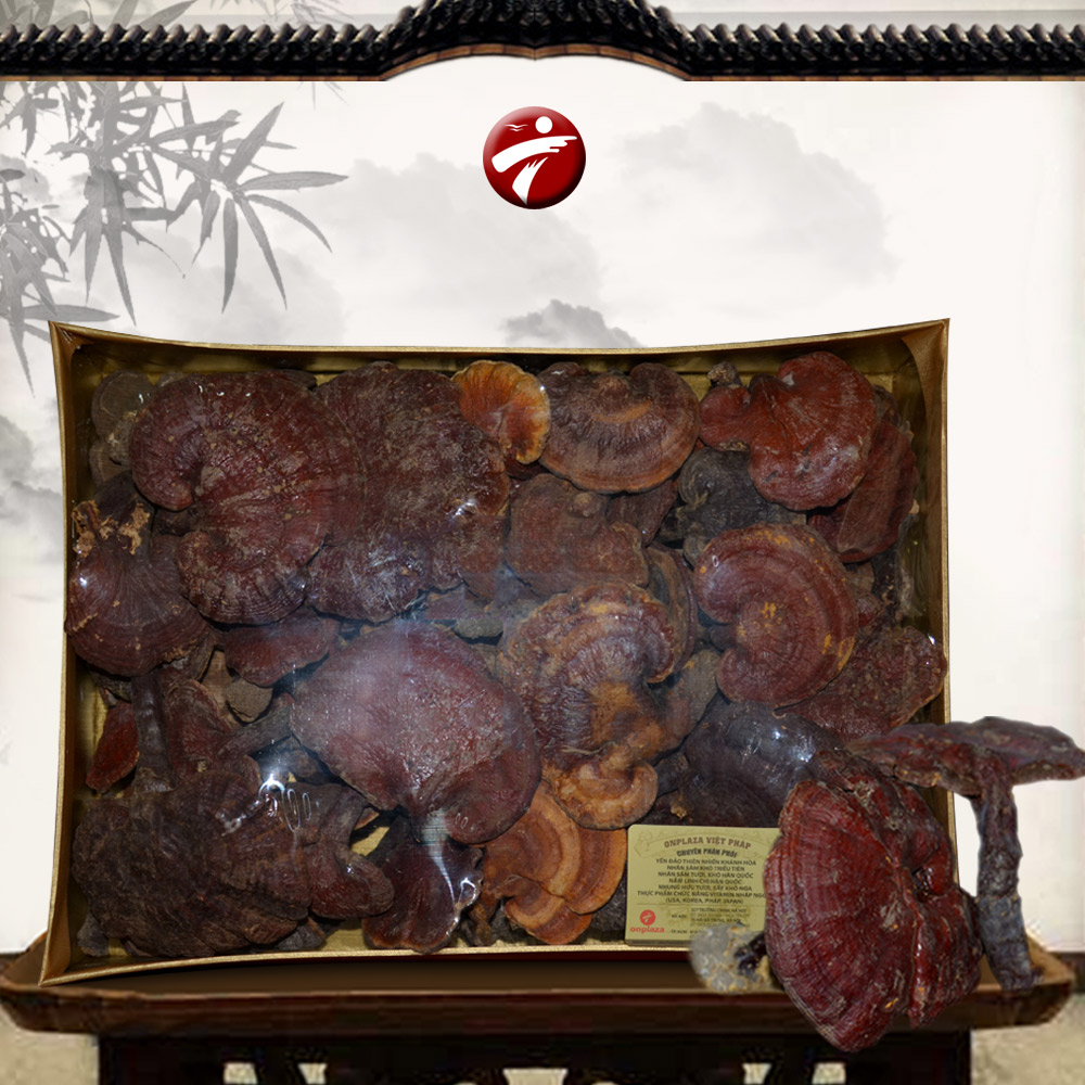 nam-lim-xanh-quang-nam-hop-qua-bieu-L294