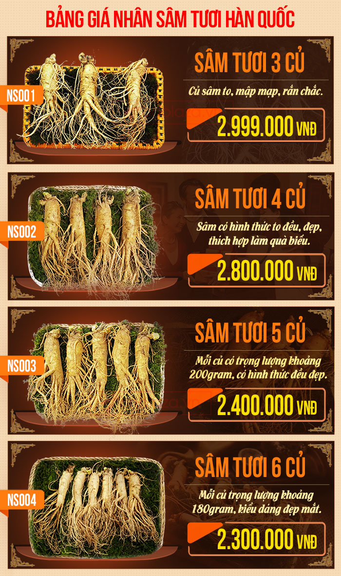 Nhân sâm tươi loại 5 củ /kg NS003 bang gia sam tuoi noi bat Nhân sâm tươi loại 5 củ /kg NS003