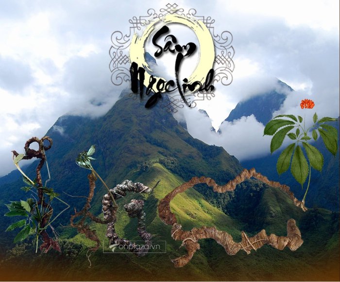 1000x1000-hinh dau tien trong bai viet