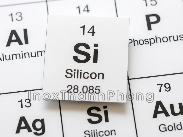 Silicon là gì trong ngành vi sinh