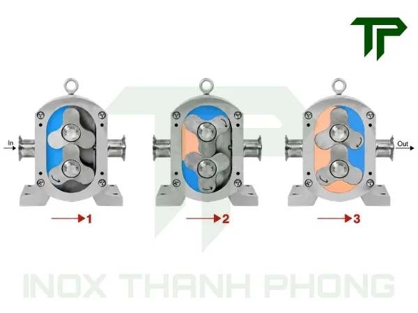 Nguyên lý hoạt động của bơm lobe cánh khế inox vi sinh