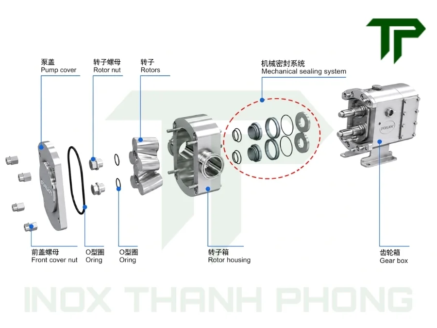 Cấu tạo cơ bản của đầu bơm Lobe inox