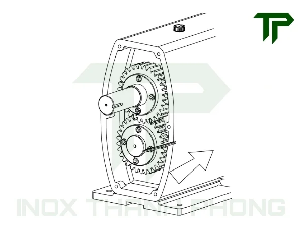 Trục và bánh răng đồng bộ của đầu bơm Lobe inox