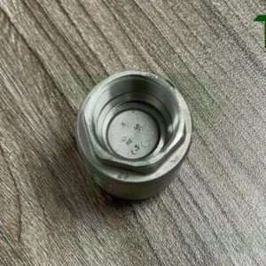 Khi nào nên sử dụng van một chiều lò xo và khi nào nên dùng van lá lật?