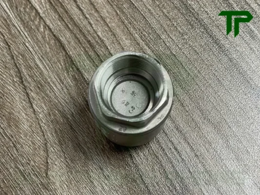 Khi nào nên sử dụng van một chiều lò xo và khi nào nên dùng van lá lật?