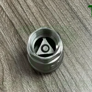 Van một chiều lò xo ren inox