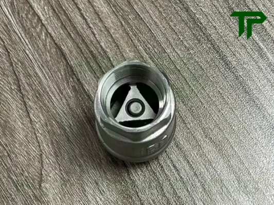 Van một chiều lò xo ren inox